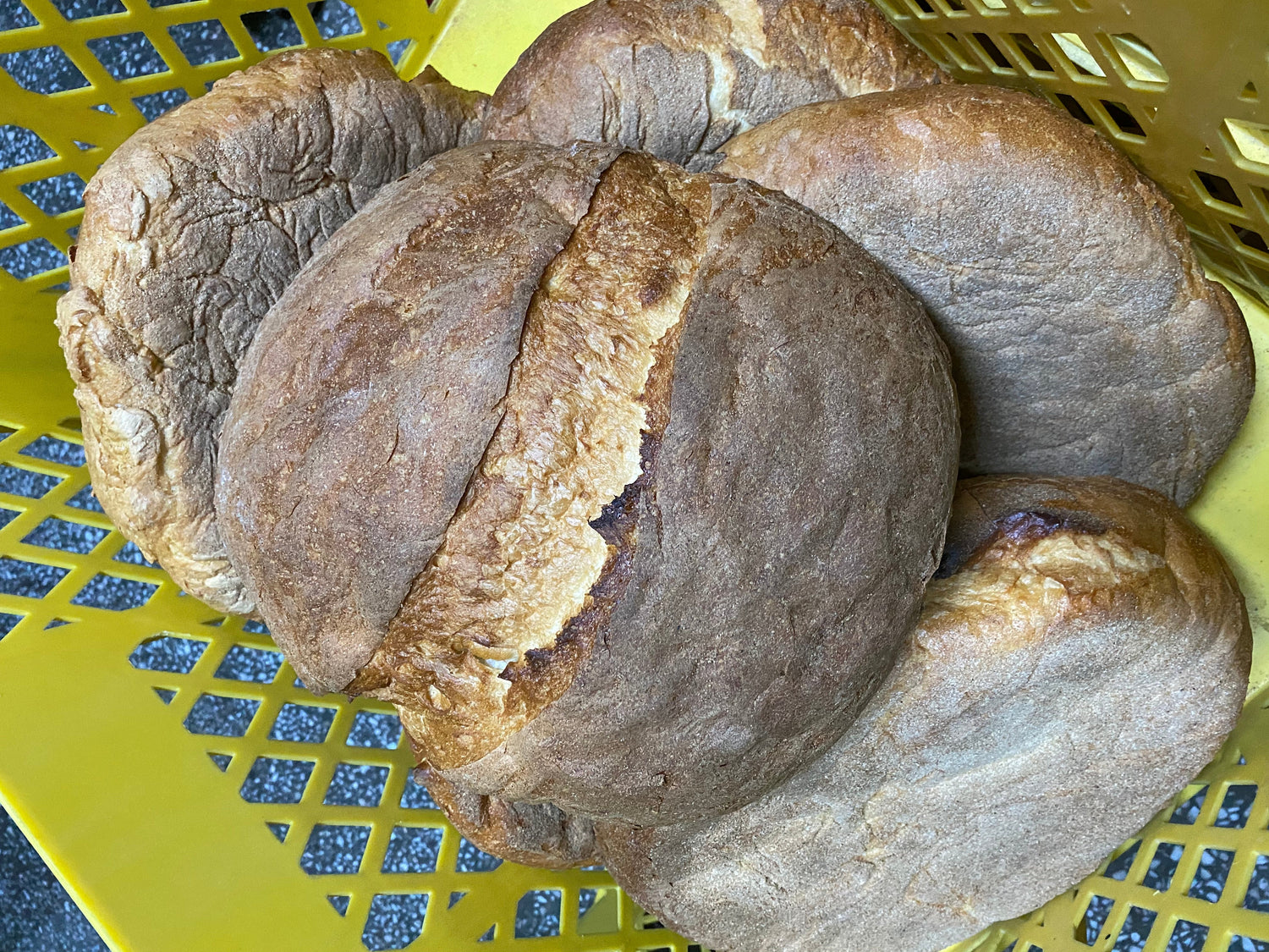 KÖY EKMEKLERİMİZ